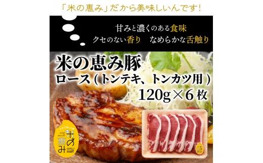 おおいた和牛と米の恵み豚のステーキ対決/計1.12kg（1217R）_イメージ4