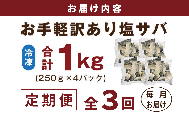 【定期便】塩さば 1kg（250g×4P）全3回【お弁当サイズ 生活応援 サバ 小分け 青魚 塩鯖 塩サバ 切身 塩焼き 焼きさば 焼き鯖 人気 冷凍 冷凍食品 おかず 惣菜 訳あり サイズ不揃い】 