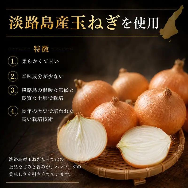 高評価★4.8 御礼！ 保存料不使用 ハンバーグ 個包装 2.4kg ギフト お歳暮 大判ハンバーグ