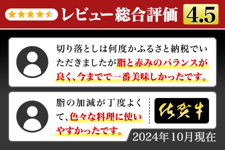 艶さし！佐賀産和牛切り落とし1.2kg(600ｇ×2ｐ）/黒毛和牛 牛肉 J1353