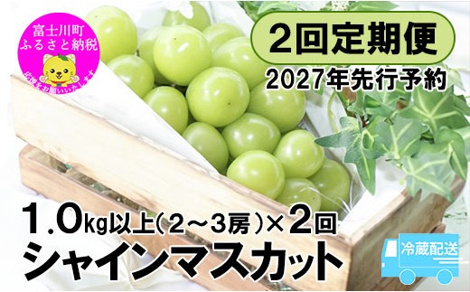 
                  【2027年発送分 先行予約】【２回定期便】頬張る幸福感 ～緑の宝石・シャインマスカット～ 計２kg（1.0kg以上・2～3房を２回[9月上旬・下旬]お届け）※冷蔵発送※　シャイン シャインマスカット ぶどう 葡萄 ブドウ 定期便 ２回 果物 くだもの フルーツ 山梨 やまなし 富士川町 シャインだけ シャインマスカットだけ
                