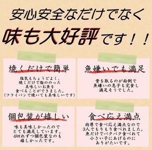 さば 塩さば 冷凍 おかず 骨無し 魚 お魚 魚介 海鮮 安心 人気 大容量 小分け ごはんのお供 ふっくら やわらか 美味しい 焼き魚 / 【全3回定期便】骨無し 無添加 塩さば 切身 切身 約1.