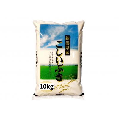 ふるさと納税 阿賀野市 【 令和7年産新米】新潟産 こしいぶき 10kg(5kg×2袋) 白米 精米