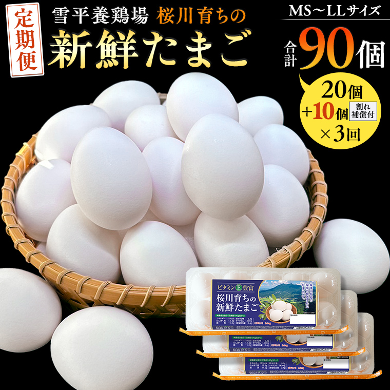 【3回定期便】 雪平養鶏場 桜川育ちの 新鮮 たまご 合計30個（20個＋10個割れ補償付) ×3回 たまごかけご飯 玉子 生卵 鶏卵 TKG