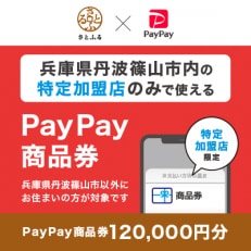 兵庫県丹波篠山市　PayPay商品券(120,000円分)※地域内の一部の加盟店のみで利用可