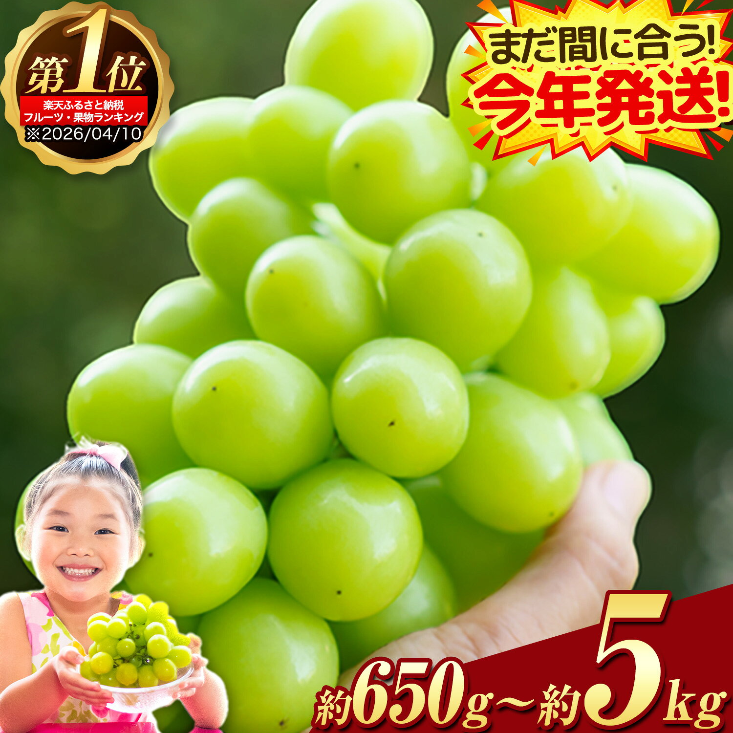 岡山県産 シャインマスカット 約1.2kg 2房 葡萄 果物 訳あり 優品 スイーツ フルーツ デザート 岡山県矢掛町《3-10営業日以内に出荷(土日祝除く)》