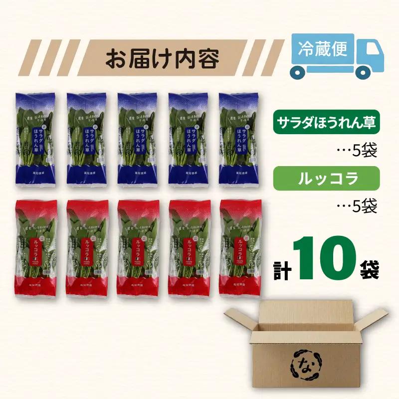 2種セット サラダほうれん草 ルッコラ サラダセット | ほうれんそう 水耕 栽培 新鮮 葉物 野菜 ドレッシング 南国市