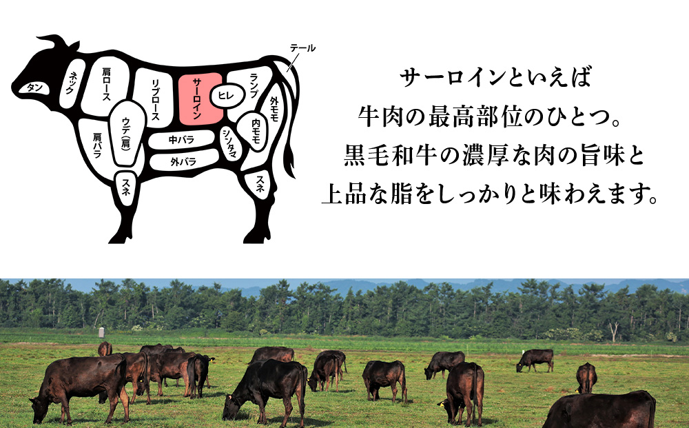 北海道 白老産 黒毛和牛 サーロイン ステーキ 200ｇ×2枚