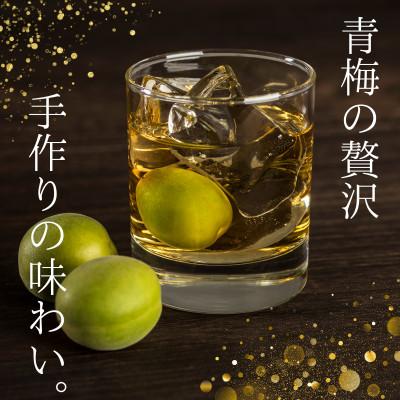 ふるさと納税 田辺市 青梅【紀州南高梅】 3kg 5月より順次発送予定 / 生梅【tcs021】 |  | 01