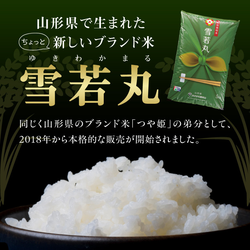《定期便6ヶ月》特別栽培米 雪若丸 10kg×6回 合計60kg 【山形県産】