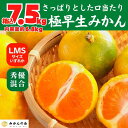 【ふるさと納税】みかん 極早生 箱込 7.5kg (内容量約 6.8kg) S/M/Lサイズのいずれか 秀品 優品 混合 有田みかん 和歌山県産 【みかんの会】