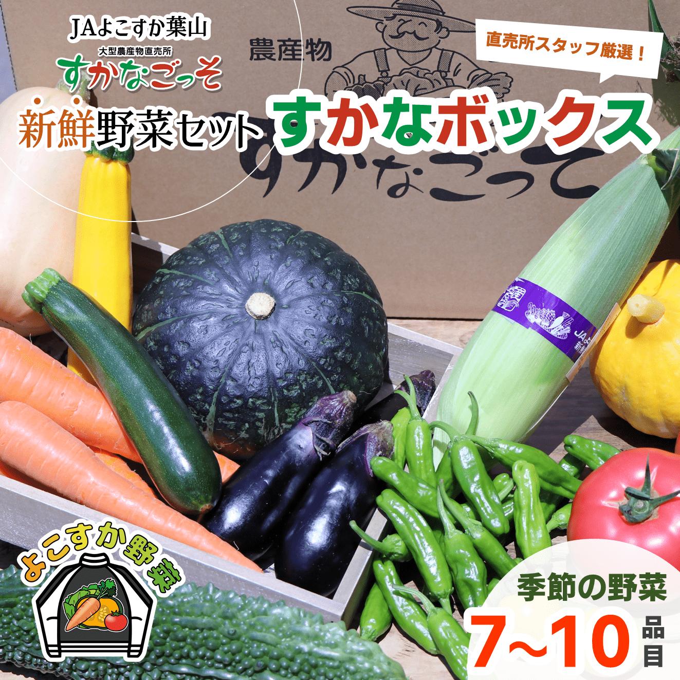 
よこすか野菜セット すかなボックス 【JAよこすか葉山】 [AKFO001]
