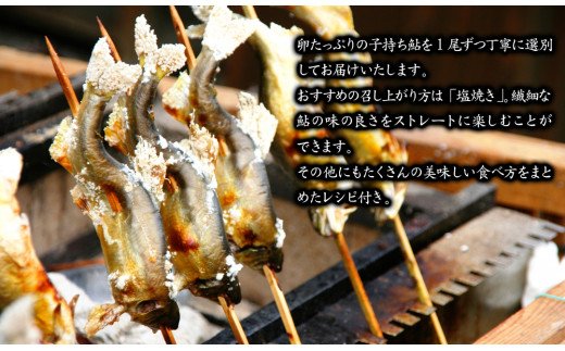 【延岡産】小分けで便利！冷凍子持ち鮎１kg N017-YZA173