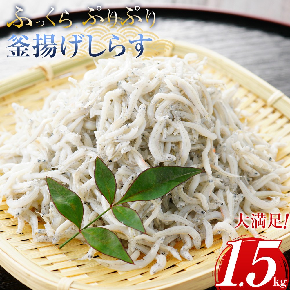 ふっくら、ぷりぷり 釜揚げしらす たっぷり1.5kg(500×3パック)