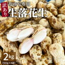 【ふるさと納税】事前予約 訳あり やみつき 極うま 生落花生 2kg 500g × 4袋 生ピーナッツ 塩ゆで専用 夏の味覚 地豆 さとのか 落花生 朝採り 夏の味覚 かみじゅう農産 金の生落花生 おつまみ 愛知県 碧南市 送料無料