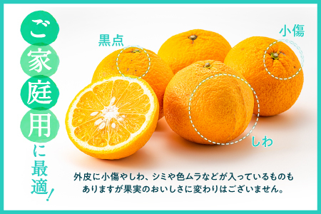 AA093.福岡柑橘王国・樹成り完熟甘夏／約8kg（2027年4月～5月配送予定）
