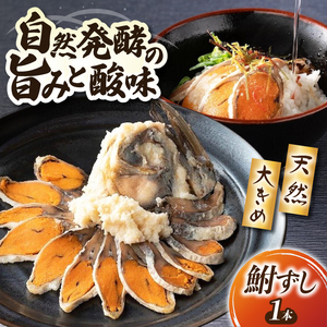 鮒ずし 約450g×1本[AQBW003] 鮒ずし 鮒ずし 鮒ずし 鮒ずし 鮒ずし