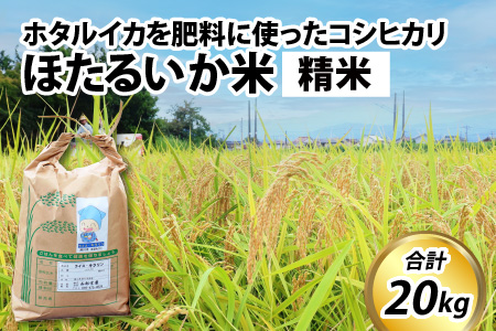 【訳あり】ほたるいか米（精米２０kg）【通年発送】