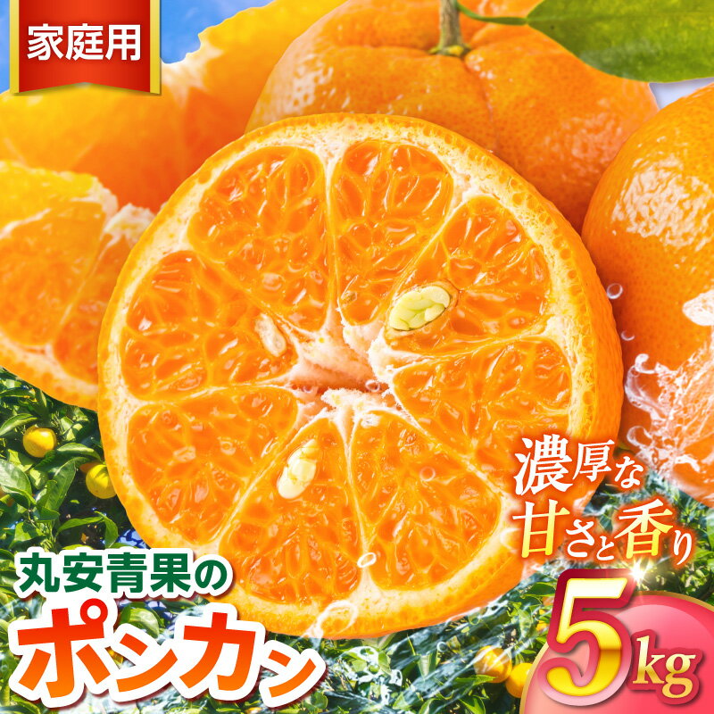 【ふるさと納税】【2027年発送先行予約品】丸安青果 訳あり ポンカン 5kg 家庭用 | 果物 フルーツ 柑橘 みかん ポンカン 5kg 訳あり 家庭用