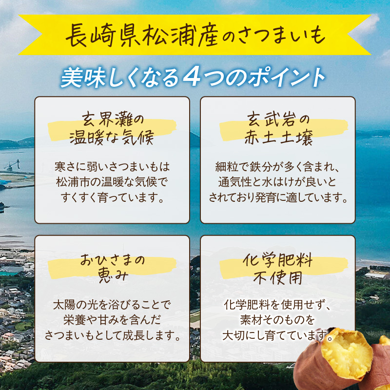 【長崎県松浦市産】畑の宝石 さつまいも(シルクスイート) 1kg ( さつまいも シルクスイート 長崎県松浦市産 長崎県産 )【A4-001】