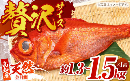高知県産 天然 金目鯛 約1.3kg?1.5kg 〈2025年2月?発送〉 /内臓・うろこ処理済み 刺身 煮付け たい タイ キンメダイ 【株式会社　四国健商】[ATAF004]