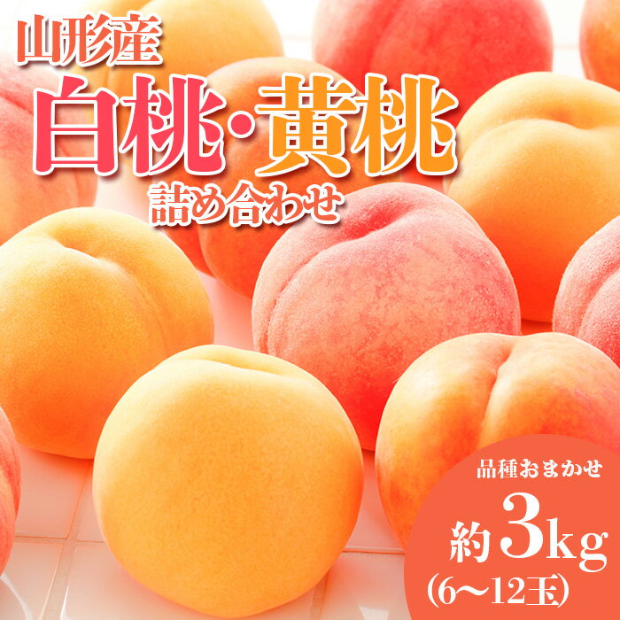 【ふるさと納税】やまがたの桃(白桃・黄桃詰合せ) 品種お任せ 白桃＆黄桃 秀品 約3kg(6〜12玉程度) 【令和8年産先行予約】FS23-813 くだもの 果物 フルーツ 山形 山形県 山形市 お取り寄せ 2026年産