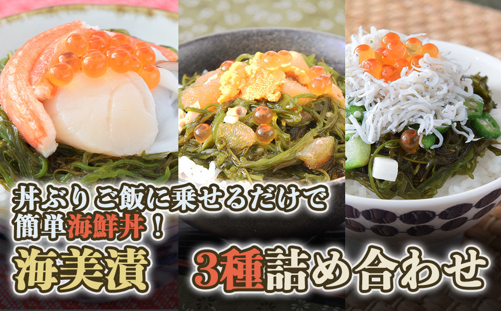 
            丼ぶりご飯に乗せるだけで 簡単 海鮮丼! 海美漬 3種 詰合せ
          