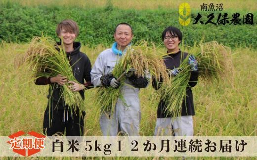 
                  【令和8年産新米予約】【１２ヶ月定期便】南魚沼産コシヒカリ  特別栽培米　八富米　　白米５ｋｇ×全12回【2026年10月中旬から1ヶ月以内に順次発送予定】
                