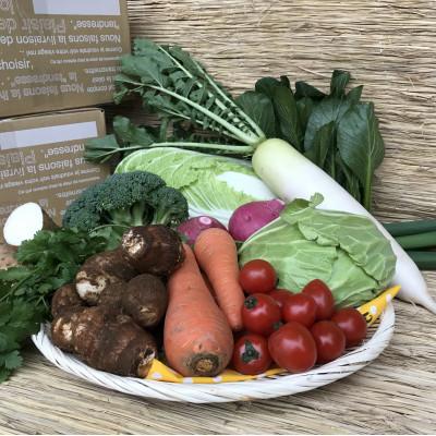 ふるさと納税 鹿嶋市 【発送月固定定期便】『身体が喜ぶ野菜』おまかせ10〜12品(上旬発送)全10回 |  | 01