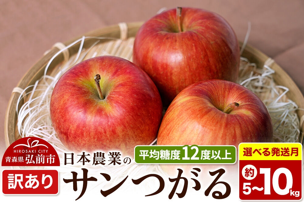 
                  りんご 平均糖度12度以上！ サンつがる 訳あり【選べる約 5kg／10kg×8月クール便／9月クール便 発送】青森県産 果物 フルーツ 林檎 リンゴ くだもの 不揃い 規格外 [家庭用 産地直送 アップル 青森県 弘前市]
                