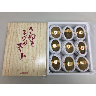 ふるさと納税 三豊市 【さぬき讃フルーツ】さぬきエンジェルスイートキウイ　約1kg化粧箱入り