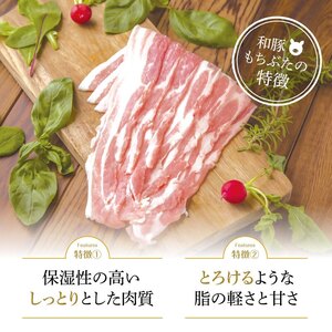 【定期便6回】和豚 もちぶた 豚ばら スライス 200g×10 (2kg) 豚肉