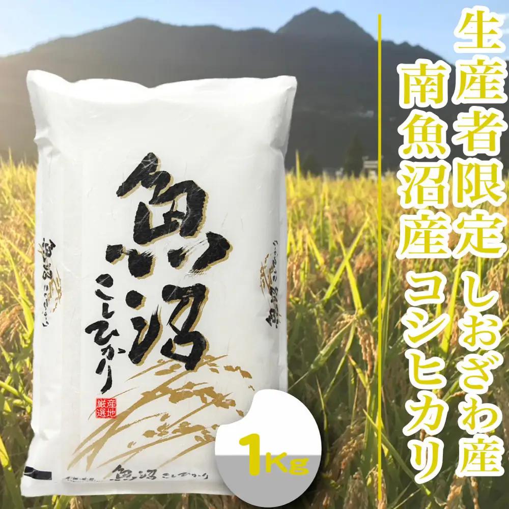 【令和8年産　新米予約】【1Kg】生産者限定／契約栽培 南魚沼しおざわ産コシヒカリ【銘柄米 精米 こしひかり コシヒカリ 魚沼産 新潟米 お米 米 こめ コメ ご飯 御飯 ごはん】【2026年10月上旬より1ヶ月以内に順次発送予定】