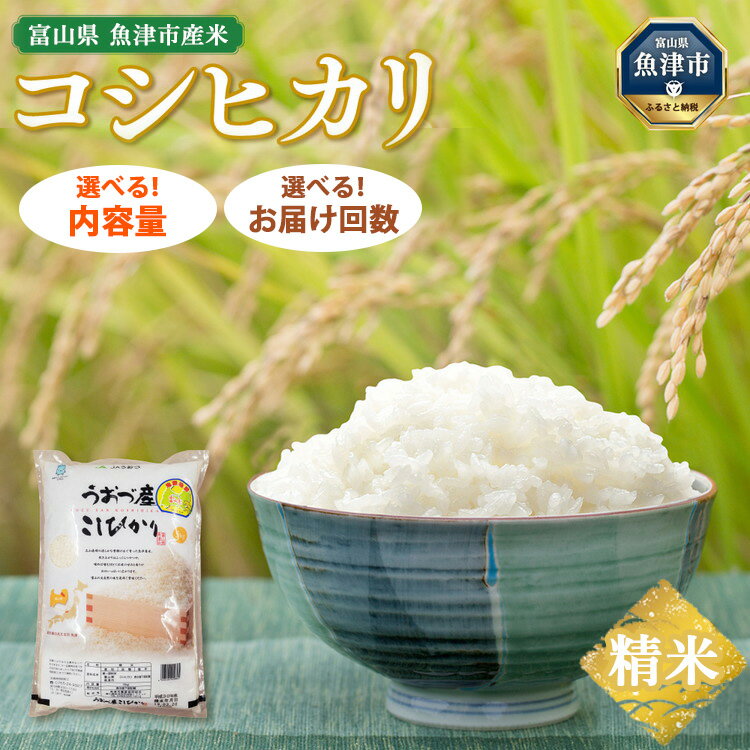 【ふるさと納税】【令和7年度米】＼選べる内容量・お届け回数／富山県 うおづ産米「コシヒカリ」（精米）｜定期便 こしひかり こめ コメ お米 おこめ 白米 精米 雪解け水 香り うまみ あまみ 冷めても 美味しい おにぎり お弁当 高品質 ※北海道・沖縄・離島への配送不可
