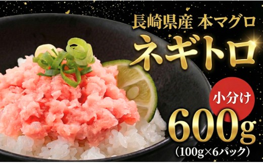 
            A509 まぐろネギトロ(100g×6)
          