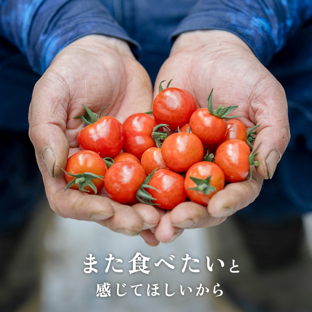 野口農園 ！ ぜいたくトマト（2kg）と華クイン（1.4kg） トマト ミニトマト プチぷよ フルティカ アイコ 華クイン 新鮮 美味しい 野菜 [J005-NT]
