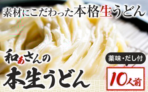 おうどんセット 10人前 《90日以内に出荷予定(土日祝除く)》和ぁさん家、株式会社栄工製作所 うどん 麺 生麺 生うどん 本格 手作り 和食 ご家庭用 こだわり お手軽 ギフト セット 薬味 だし付き 徳島県 美馬市 st-p