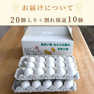 【定期便12回】九十九里ファームこだわりたまご贈答用30個～あおい海・みどりの里～《白玉》 ／ たまご 卵 玉子 タマゴ 生卵 鶏卵 30個 定期便