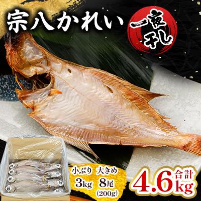 ふるさと納税 宮古市 一夜干し宗八かれい4.6kgセット