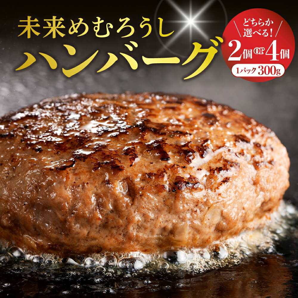 【ふるさと納税】 未来めむろうし ハンバーグ 選べる内容量（300g×2 計600g／300g×4 計1.2kg） 自分で好きな大きさに成形 冷凍 国産 和牛 牛肉 ビーフ 加工食品 加工品 惣菜 おかず パック セット 贈り物 ギフト お取り寄せ 北海道 十勝芽 室町