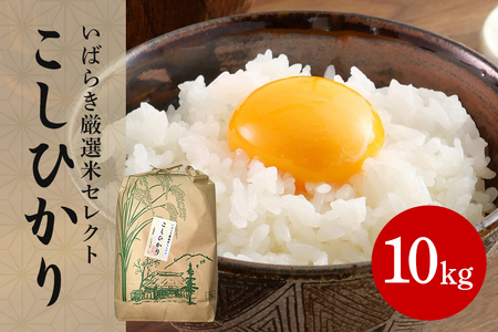 筑波山麓産米を中心に厳選した【茨城県産こしひかり】令和7年産白米10kg B07-015