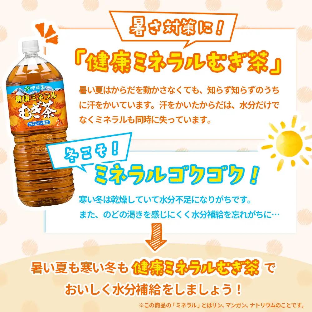 『定期便：全3回』健康ミネラルむぎ茶2L×6本【50000101】