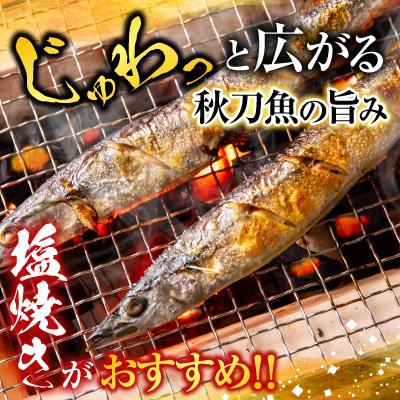 ふるさと納税 根室市 甘塩紅鮭5切×4P・冷凍生さんま5尾入×4Pセット C-70015 |  | 01