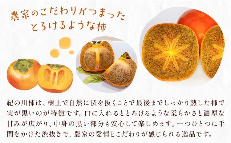 訳あり 柿 紀の川柿 約8kg