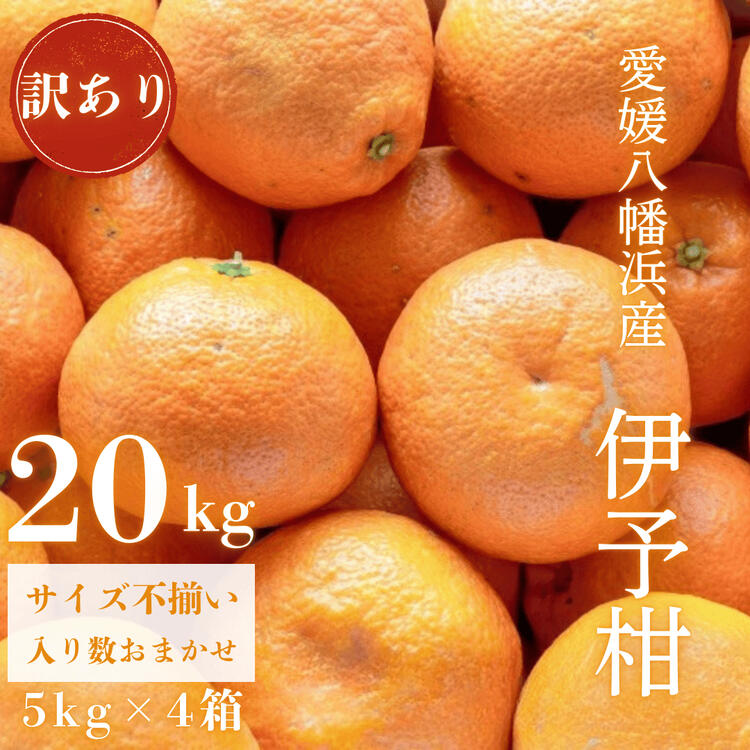 【ふるさと納税】【爽やか香りと柔らかジューシーな果肉】愛媛八幡浜産 訳あり 宮内伊予柑 20kg【G20-92】_【1625451】 YWTI087