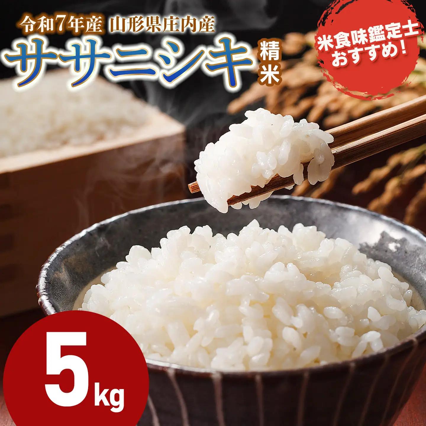 【令和7年産】 ササニシキ 精米 5kg (5kg×1袋)　山形県 庄内産　米食味鑑定士お薦め　| ささにしき 5キロ 米 お米 コメ 白米 食品 ご飯 ごはん 美味しい おいしい ブランド米 おすすめ 人気 山形県 鶴岡市 東北 国産 お取り寄せ 返礼品