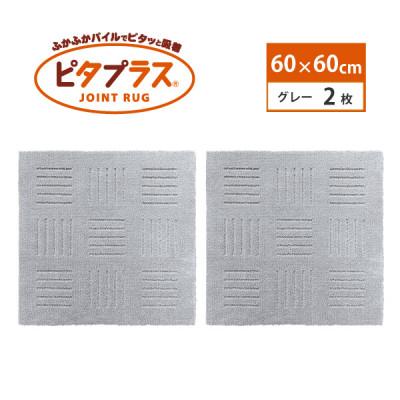 ふるさと納税 海南市 洗えるジョイントマット　60×60cm　グレー　2枚組　ピタプラス　吸着