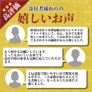  米 白米 特別栽培米 令和7年産 コシヒカリ 4kg 白米  sasakikoki003