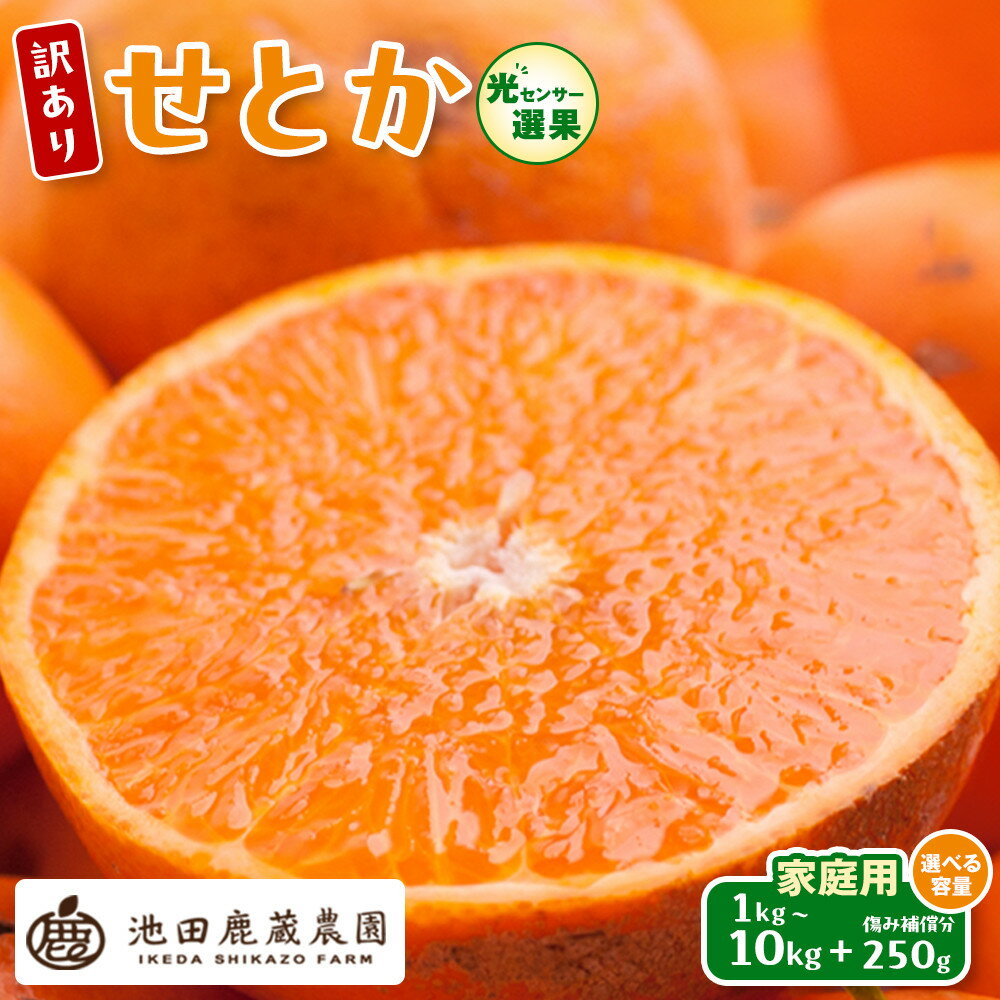 【ふるさと納税】【選べる容量】先行予約 家庭用 せとか 1～10kg+250g（傷み補償分）［柑橘・春みかんの王様］［わけあり・訳あり］［光センサー選果・食べ頃出荷］［IKE63］ | 柑橘 人気 おすすめ 果物 フルーツ 和歌山 家庭用 お取り寄せ 送料無料 ふるさと納税