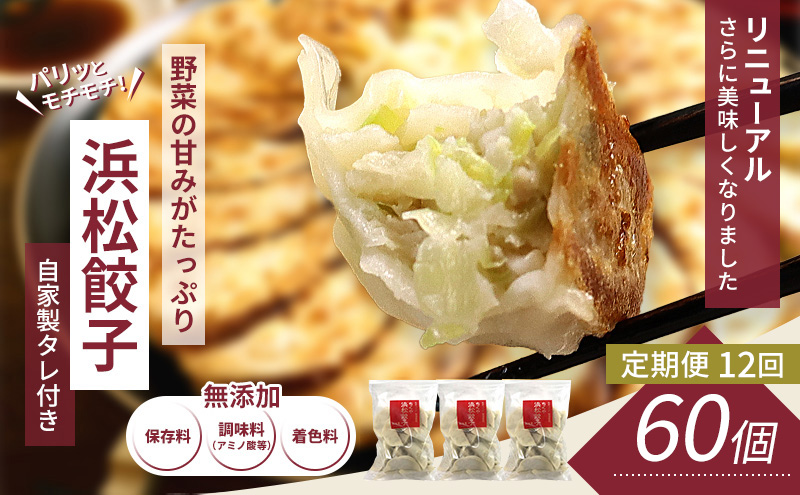 【定期便12回】浜松餃子 60個 (20個×3袋) セット 詰め合わせ 